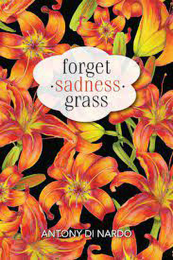 Cover of Forget-Sadness-Grass 